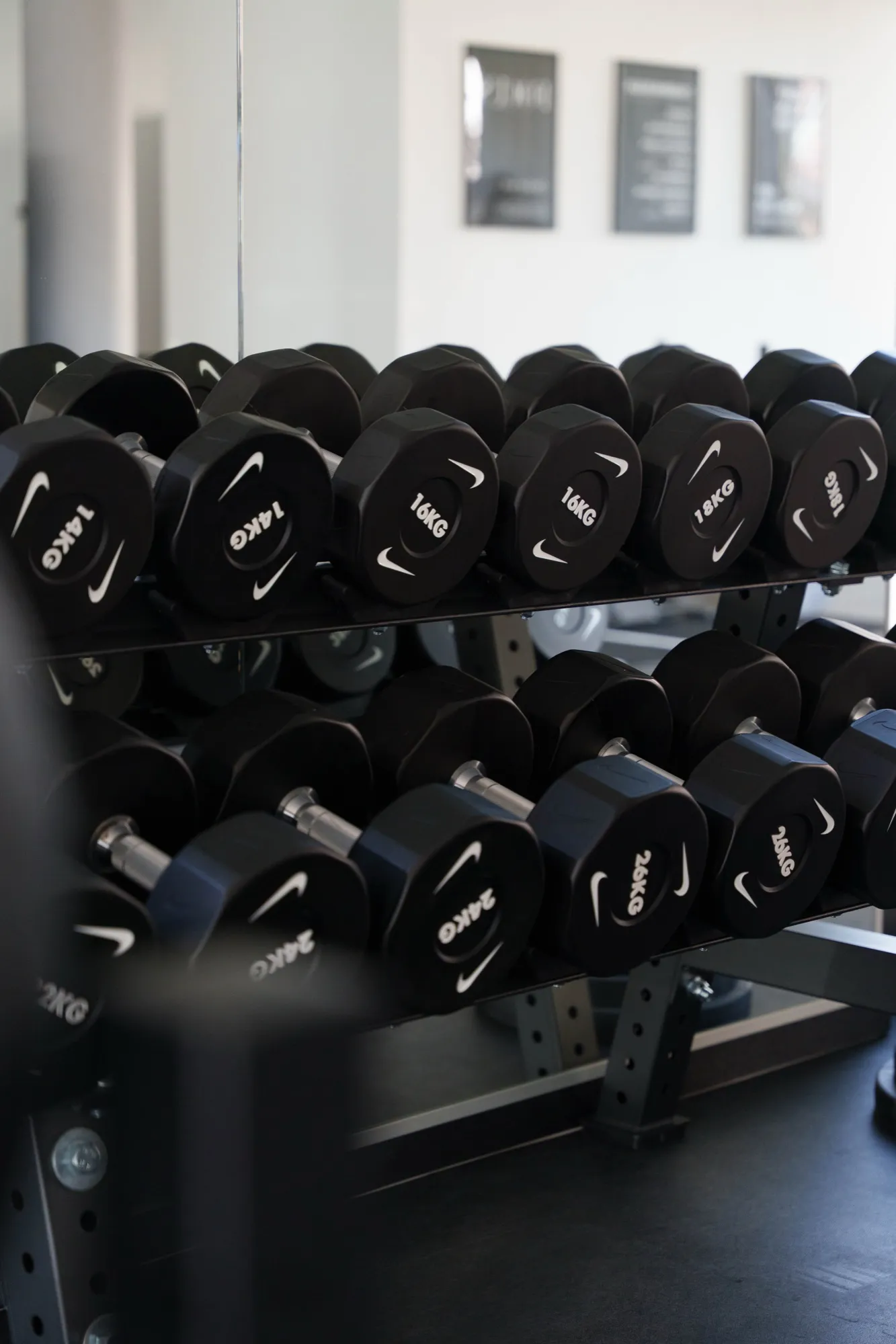 Kurzhanteln im GymMed Heidelberg